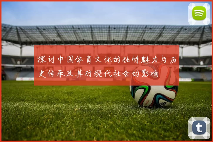 探讨中国体育文化的独特魅力与历史传承及其对现代社会的影响
