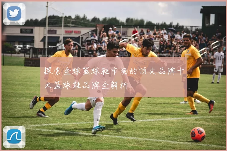 探索全球篮球鞋市场的顶尖品牌十大篮球鞋品牌全解析