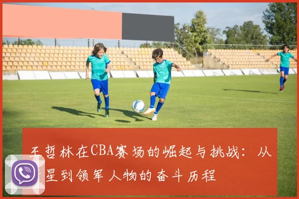 王哲林在CBA赛场的崛起与挑战：从新星到领军人物的奋斗历程