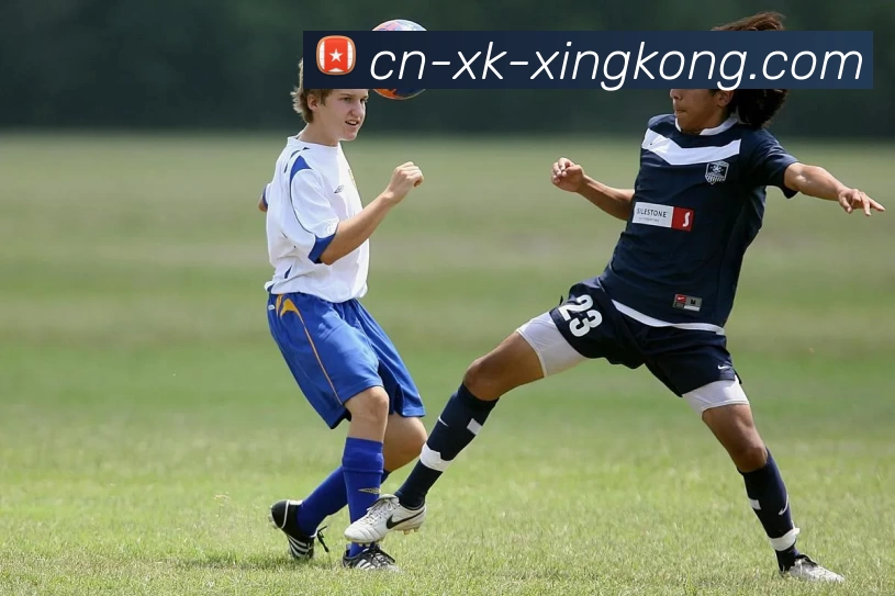 App Interface Preview