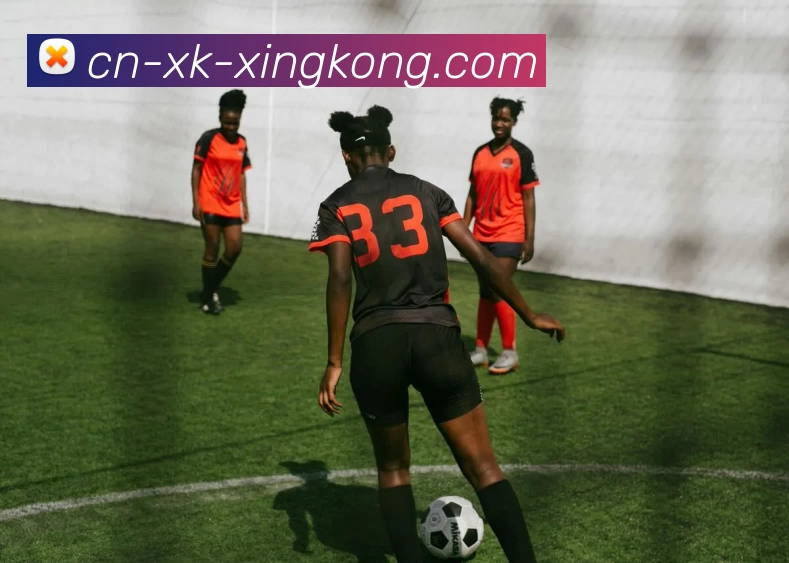 星空体育官网APP 封面图